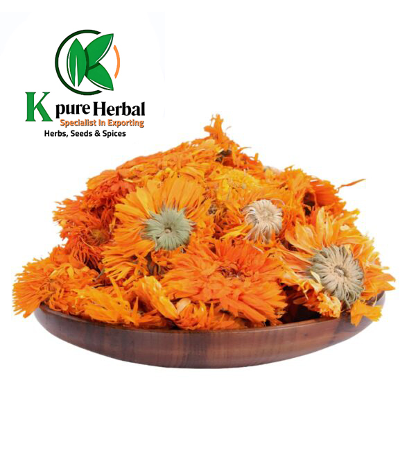 Calendula flower